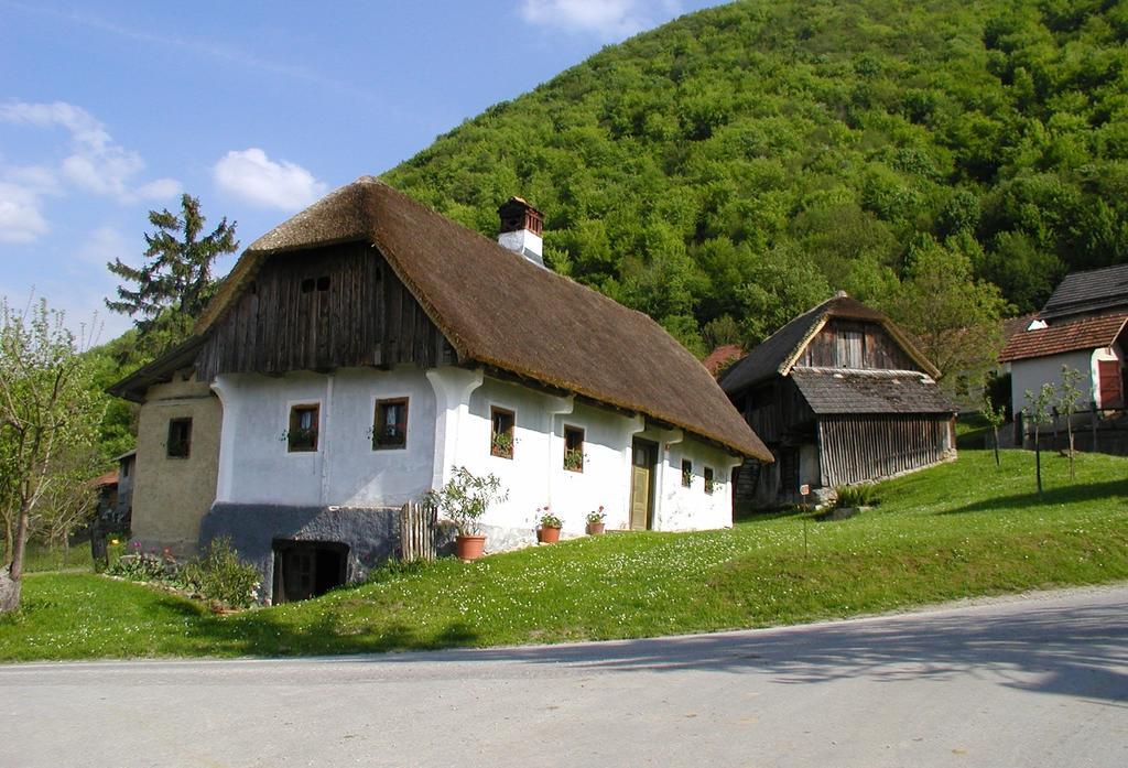 Farm Stay Kramer Bistrica ob Sotli Екстериор снимка